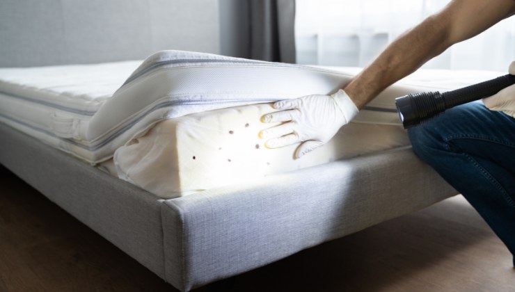 Cimici del letto: ecco come rimuoverle dal materasso