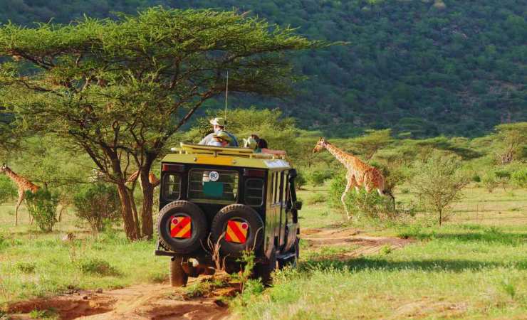 I safari più belli del mondo